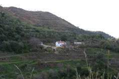 246901.jpg