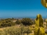 ABMAIP3513_92330_V0_F217.jpg