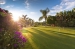 BOMACP629_17984_V0_5EE4.jpg