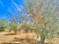 AWVADP970_36856_V0_8493.jpg