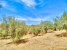 AWVADP970_36858_V0_CFC9.jpg