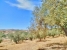 AWVADP970_36859_V0_DB20.jpg