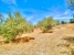 AWVADP970_36863_V0_7F26.jpg