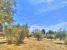 AWVADP970_36867_V0_1EDB.jpg