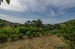 5-3595ad71cbd87be6c3643a4285ef4791.jpg