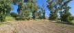 3-e898b2bb2a2fdfd06d2c39894dce8316.jpg
