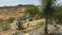 29-7c2f312881aea9bbe9ddaeb9640e2c9a.jpg