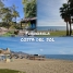 14-d70dc3102c00d7be0e872dfe1c1f86d7.jpg