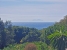 27-f6e8bc237ba13ac4c268badec6354f3d.jpg
