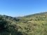 1-7980e48d732b6fc85c14b43b94d2aa54.jpg