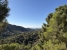 6-241328e1bcc9c0d8ce1222beb6c967a8.jpg