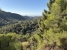 7-aa4cc561180b369757c0bb4af9886cd3.jpg