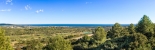 20-d1f7658cbe4ba6cd8666fec30fba80ad.jpg
