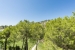 20-d1f7658cbe4ba6cd8666fec30fba80ad.jpg