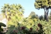 33-f37a7fab00fce6ff6b895520b67d6d6d.jpg