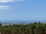 32-e7f90ea5feef5e01d64d74d6b6d8a834.jpg