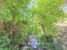37-1d70d218e897435ff17cdff8e99bb5bf.jpg